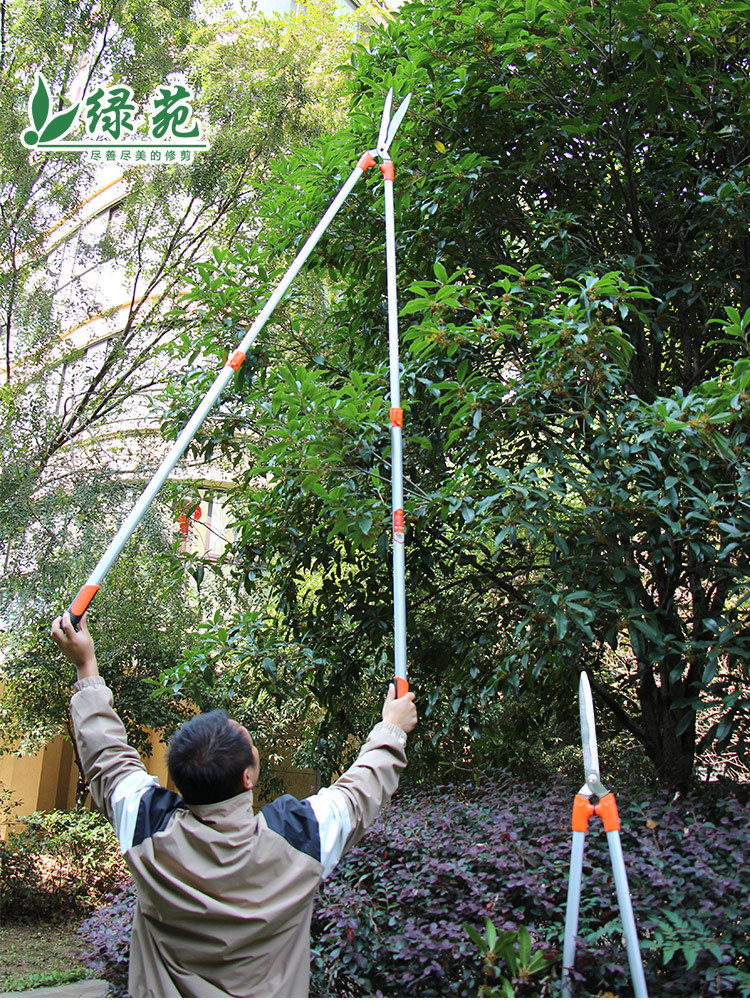 专用园林树枝草坪修枝剪杆修剪强力修剪花剪加长园艺大剪刀绿篱剪