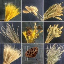 天然麦穗干花真花束开业大麦田园装饰摆件满天星稻穗拍摄道具礼品