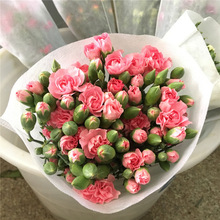 ܰrֱlٺõˮB廨ĸH˰]