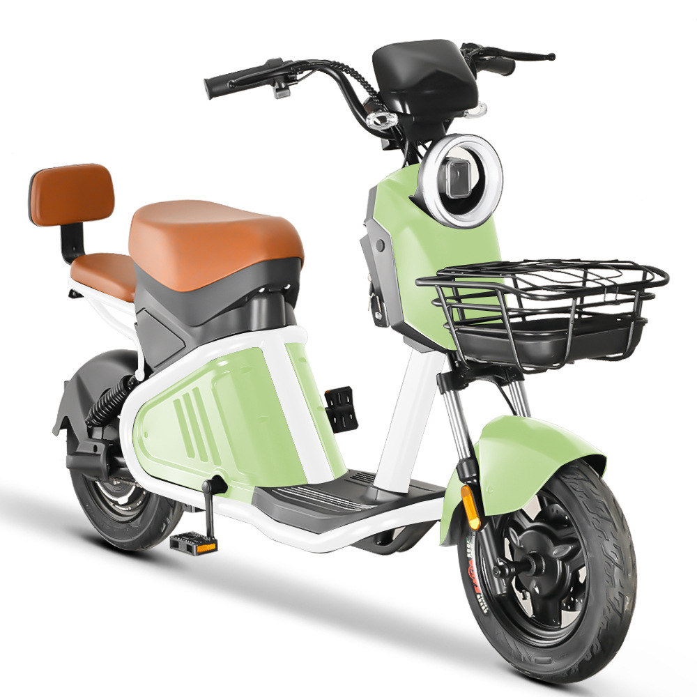 800W National Standard Adult Mobility Scooter Lithium Battery Vehicle Detachable Two-Wheeled Motorcycle Wd-2 Electric Vehicle Lithium Battery