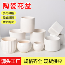 德化白瓷盆多肉花盆纯白现代家居园艺陶瓷小盆跨境简约多肉种植盆
