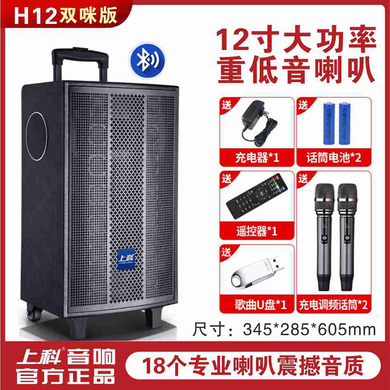 上科新款广场舞音响户外演出乐器弹唱家庭唱歌功放一体机蓝牙音箱|undefined