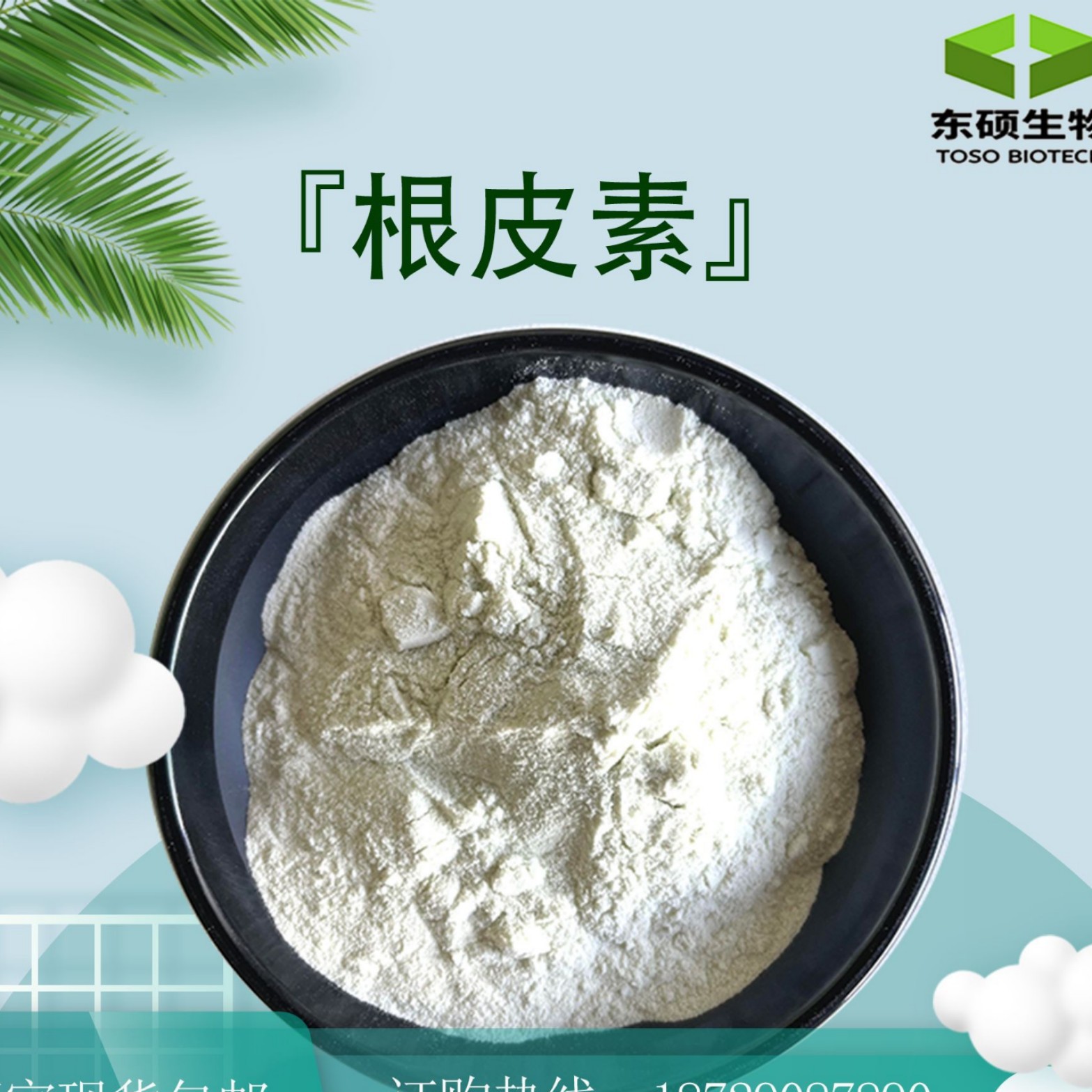 根皮素98%苹果皮提取物苹果多酚根皮甙化妆品级高含量植物