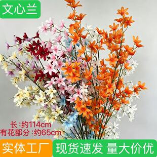 �����m������ܻ�c���m�����������m�����m���l�m���´�С�n�m -