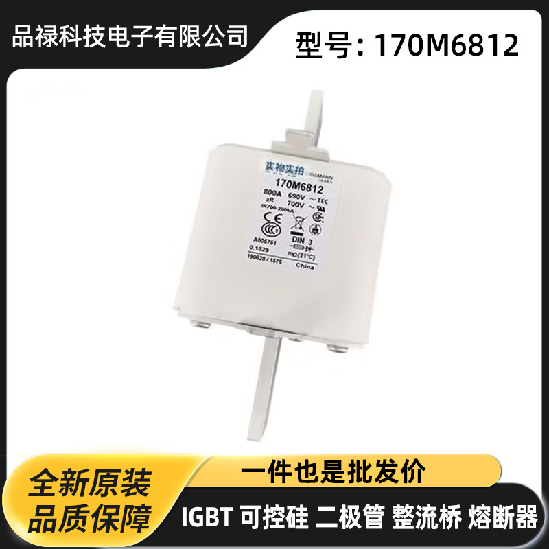 170M6792 170M6793 170M6794 170M6795原盒高压熔断器 快速熔断器
