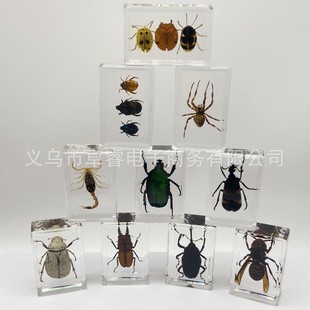 �羳�挍���x�˱�͸����֬����С�[���׃��@�̌W�^�����ϐ��֩��