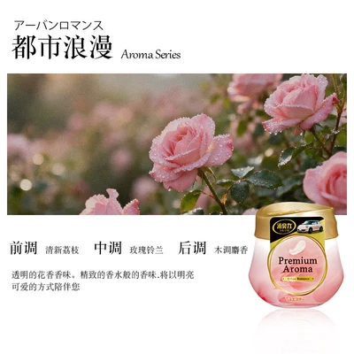 Imported Solid Car Fragrance – Car Perfume Aromatherapy - fresh-lychee-scentcar-air-freshener
