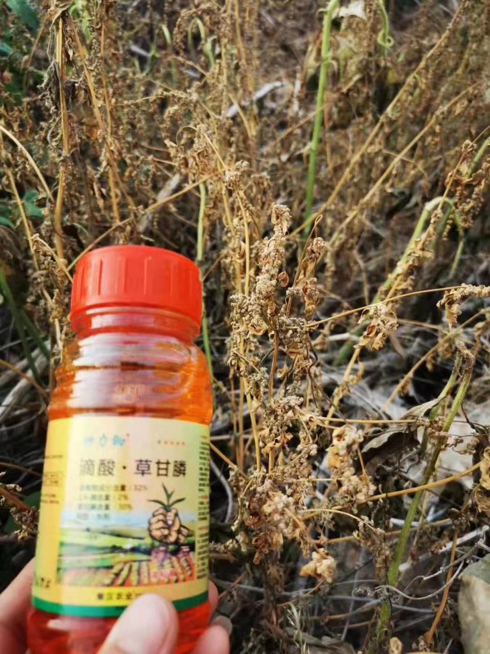 ΢ͼƬ_20210127092536