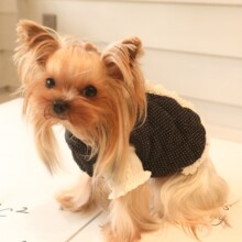 ��߅�T���c�����R��؈����ܼs���Ĺ������·�