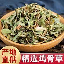 正广西炒制鸡骨草茶伤胃深山野生8包鸡骨草茶叶子降火回甘