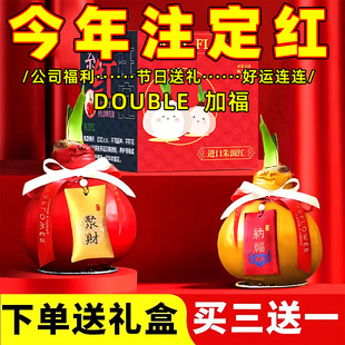 �M��Ϟ����피t�N���ذ�Ϟ��o�������Ϟ����ֲ������Y��������