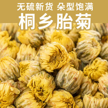 菊花茶胎菊王500g散装桐乡菊花中药材特级枸杞决明子茶批发大袋装