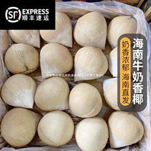 ��S���\ ����ţ����Ҭ�Ӻ���С��Ҭ������������rˮ��Ҭ��