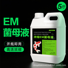 ��s�\��EM��ԭҺ�^�p�~�_���Bˮ�e�������~���{��ˮ�|������