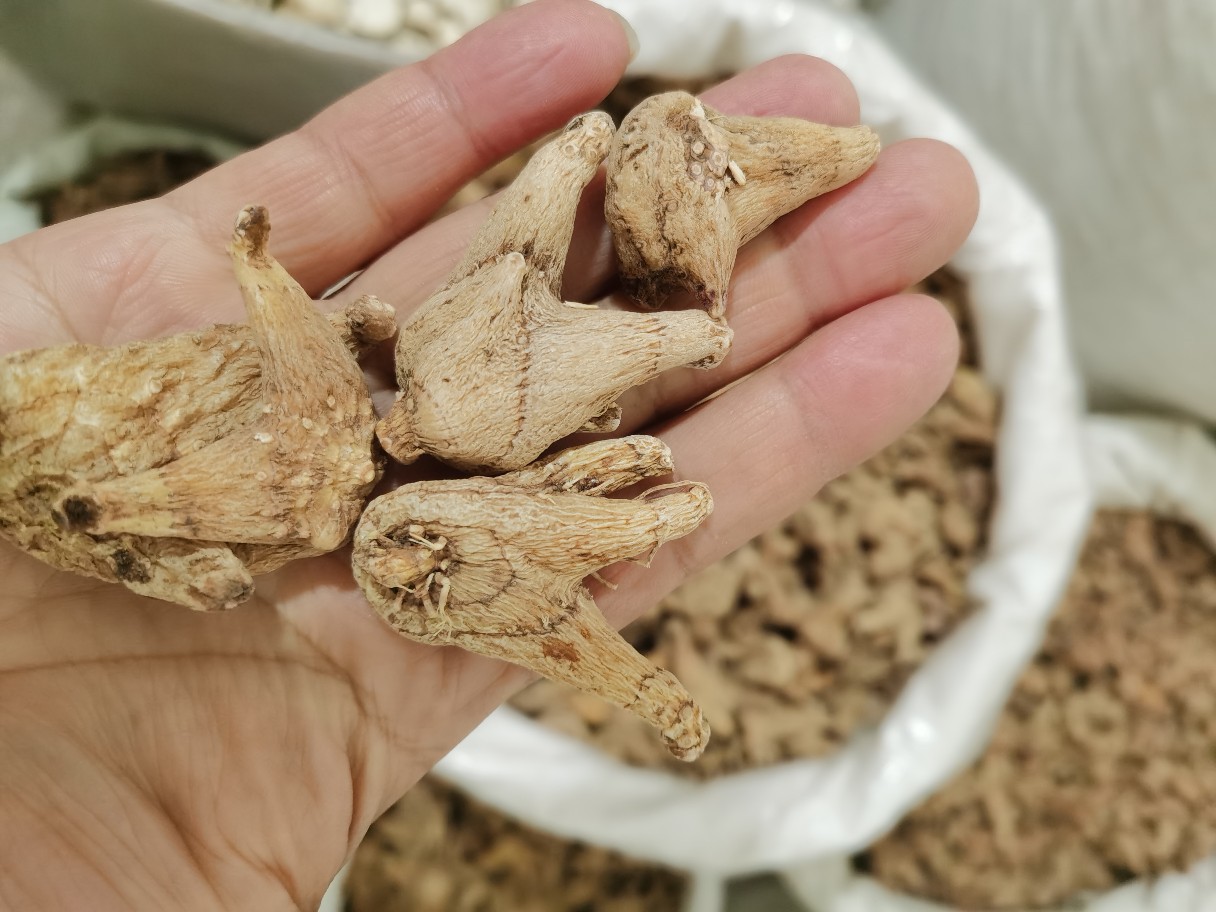 白芨 中药材产地直销   新货白芨个 白芨片