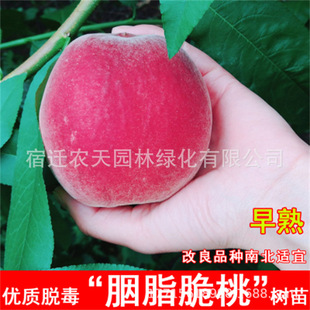 ��֬���Ҽ޽����ɼt�Ҙ���ˮ�����\���S���箔��Y����ӳ˪�t����