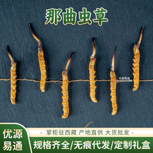 【野生虫草】西藏那曲冬虫夏草礼盒送长辈传统滋补品虫草干货批发