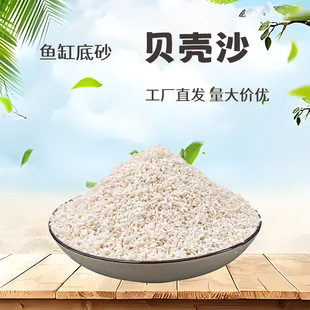 Shell Sand, Fish Tank Bottom Sand, Landscaping Decoration, Hermit Crab Special Sand, Philippine Sand, Factory Direct Sales in Stock