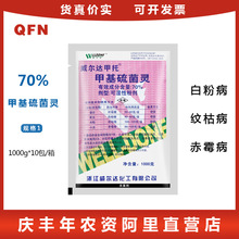 威尔达 甲托 甲基硫菌灵70%布白粉病纹枯病赤霉病杀菌剂津1000克