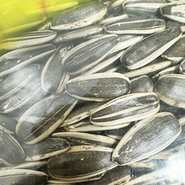 生瓜子;瓜子;干果生货