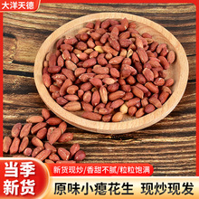 ԭζС�T���� �������¾Ʋ�ɢ�b�泴�T�����ִ����𳴻������l