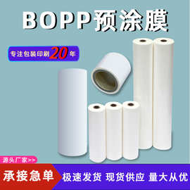 实力厂家BOPP预涂膜书本印刷覆膜机专用膜单双面热压膜热熔胶膜