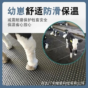 ���z�����|�����R��ţ������С�i����ĸ�i�a���|��ɫ�z�屣�؉|