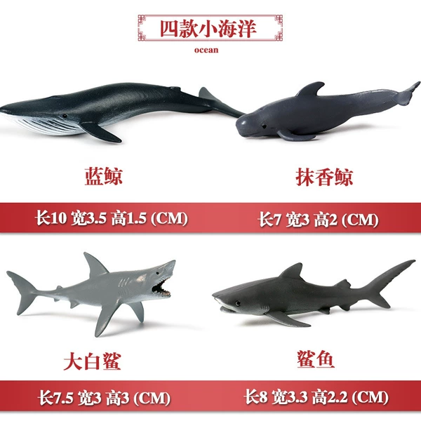 Mini Ocean 4 set (pay attention to size) M6030