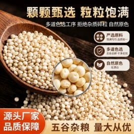 面粉;麦类;其他五谷杂粮