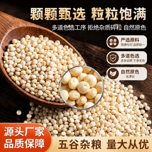 ��޼����ɢ�b500g�ߵ�������s�Z�ּZ���ʹ������l�a��ֱ��