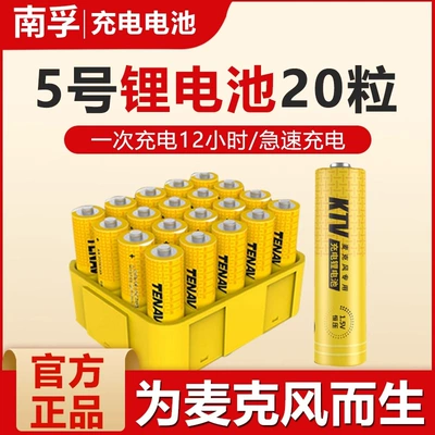 Large Capacity Battery, Hibrid akkumulyator batareyaları - no-5-microphone-ktv-lithium-battery-20