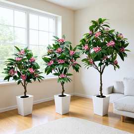 跨境亚马逊鸡蛋花盆栽造景老桩室内客厅仿真花绿植假花厂家批发