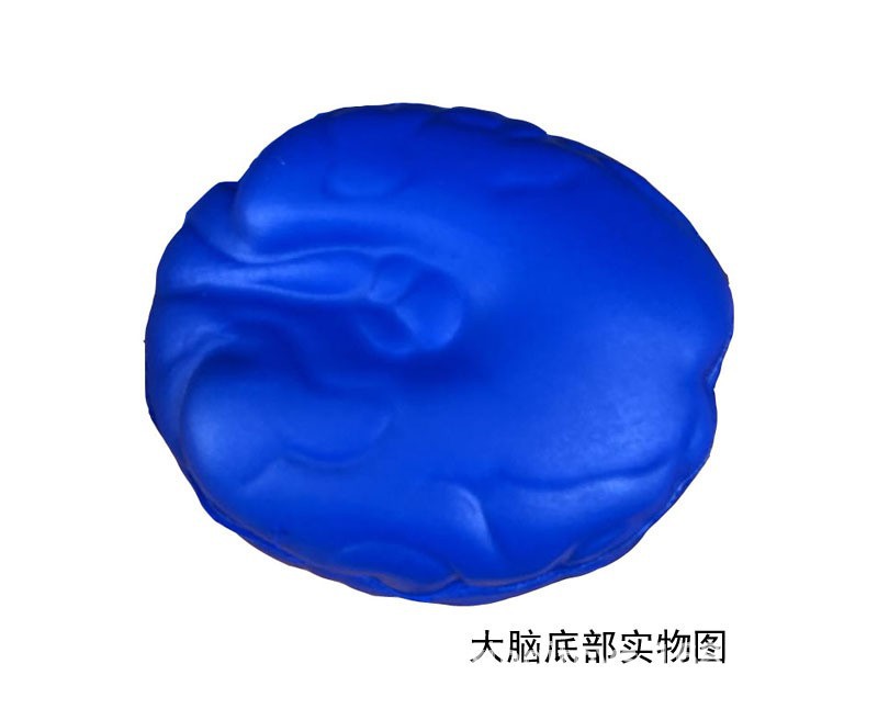 PU espuma rápida rebote imitación cerebro juguete agarre bola descompresión cerebro extrusión descompresión EVA juguete LOGO impresión