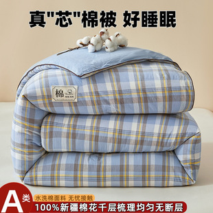 Wuyin Wind Xinjiang Cotton Quilt Winter Thickened Quilt Class A Washed Cotton Student Dormitory Spring and Autumn 100 Quilt Core