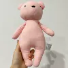 Little Pink Bear (Real shot high quality)