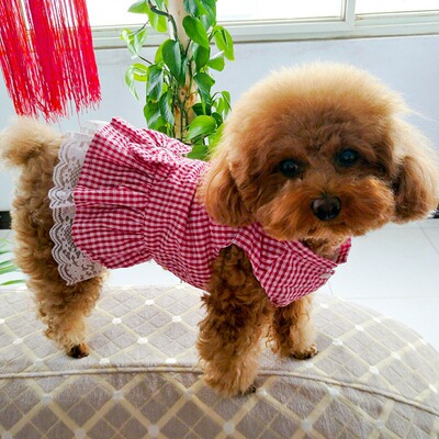 狗狗衣服装泰迪猫咪薄款小型犬幼犬可爱格子裙博美宠物连衣裙