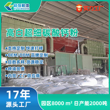 供应工业重质碳酸钙重钙粉造纸涂料树脂瓦木塑可定制加工超细粉体