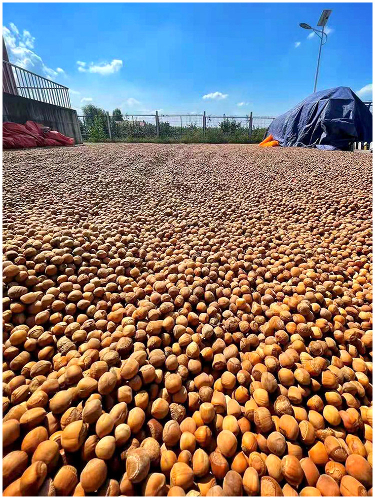 b308d2220d13a9b60f8ff8ba3f0dc4