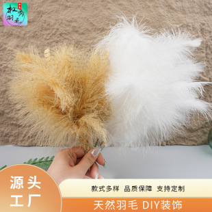 �S��ֱ�Nȫ�q��ë�F�z����Y�����������ë�l��½�ñ���b�