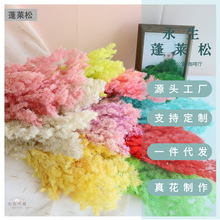 �S��ֱ�N-�������R��-������diy�r�������Ҿ��b�Y�Ĕz����