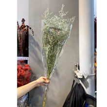 【情人草干花】云南干花情人草跳舞草文艺小清新迷你花束DIY花材