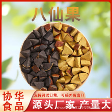 SҹɹSǺڽ ټt ƤӅTeʳƷ