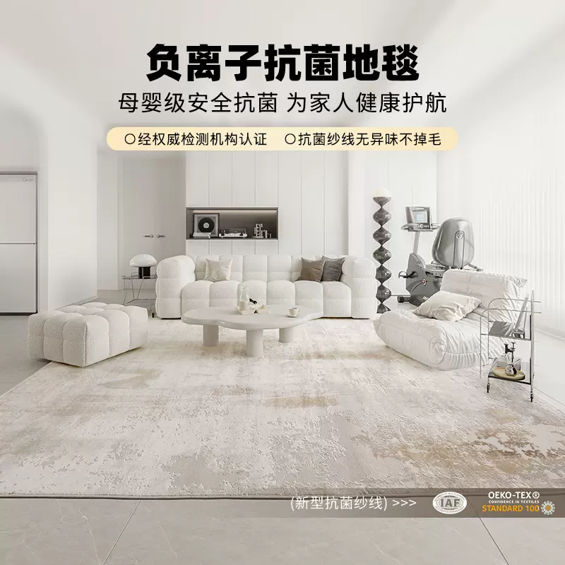 轻奢风家用地毯客厅耐脏易打理加厚茶几毯卧室抗菌床边毯不掉毛