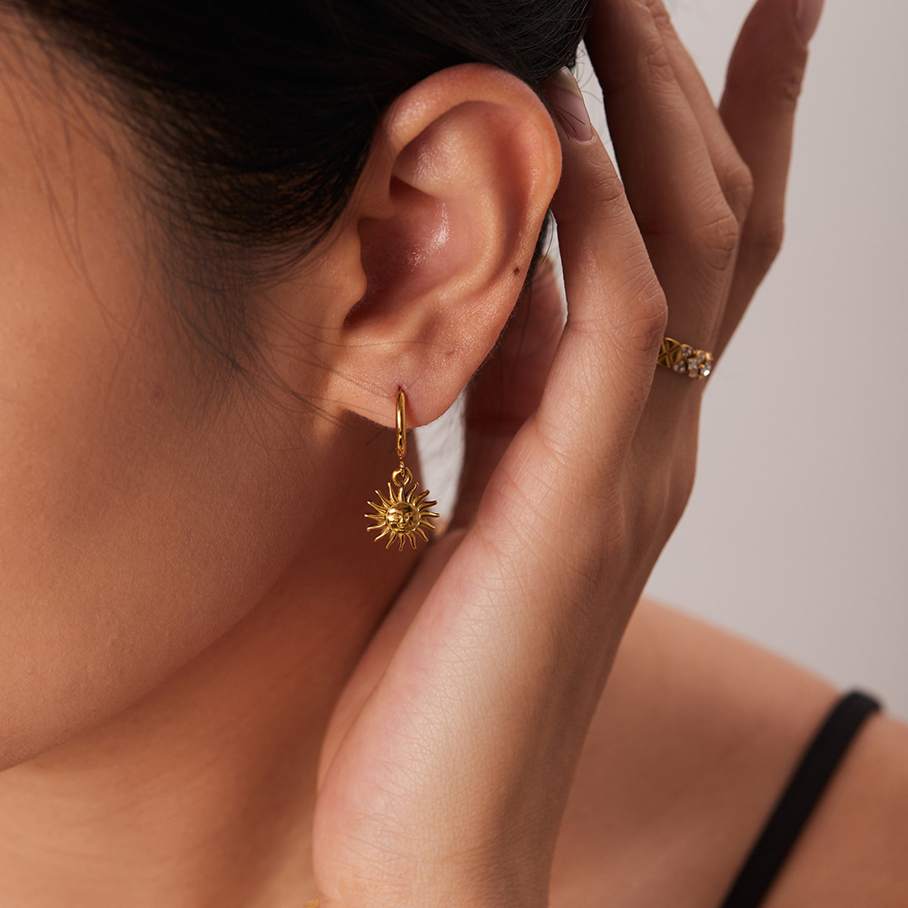 1 Pair Simple Style Classic Style Solid Color Plating Titanium Steel Drop Earrings display picture 3