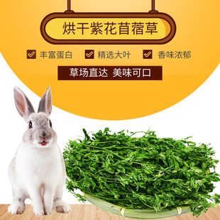 Alfalfa Alfalfa feed Baby rabbit Totoro Dutch pig grazing rabbit food