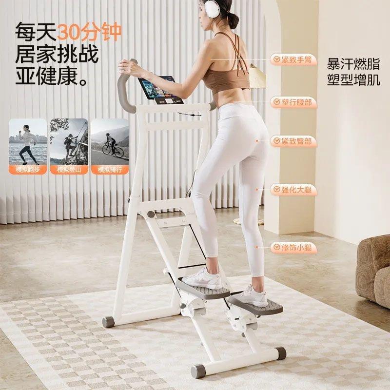 Indoor Multi-Functional Stair Climbing Home Aerobic Fitness Climbing Stepper Mountain Climbing Fitness Equipment Stair Climbing Machine