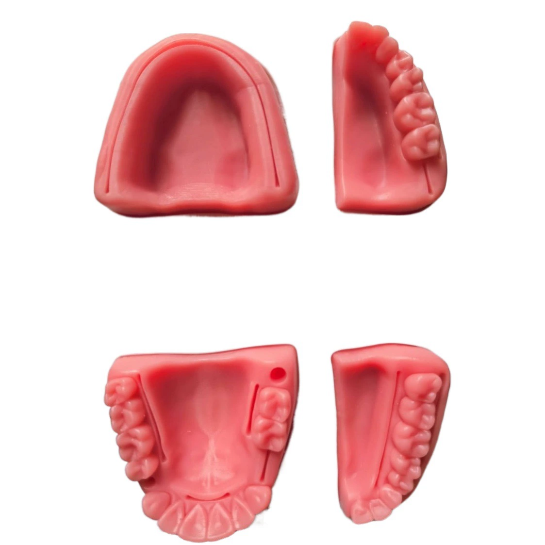 Бесплатная доставка, модель шва полости рта для медицинского обучения, имитация силиконового зубного модуля, производитель блоков швов полости рта