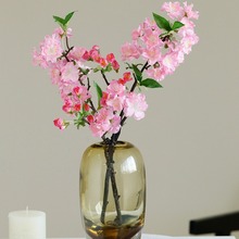 ���W�����֦�ѻ� �Ҿӿ͏d��c�bl��֦��ܛ���������һ��b�