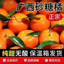 ɰ�ǽ����r�V�����Qɰ���ٮ���ˮ��ɳ�ǽ�Ƥ����֭������Fժ�F�l