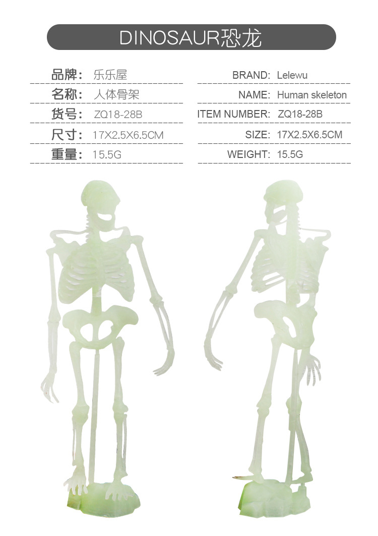 ZQ18-28夜光恐龙骨架_04.jpg